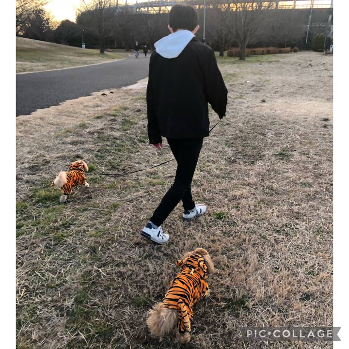 A2243741 40e7 466f b9c3 7e23f4de88df 1641212418563