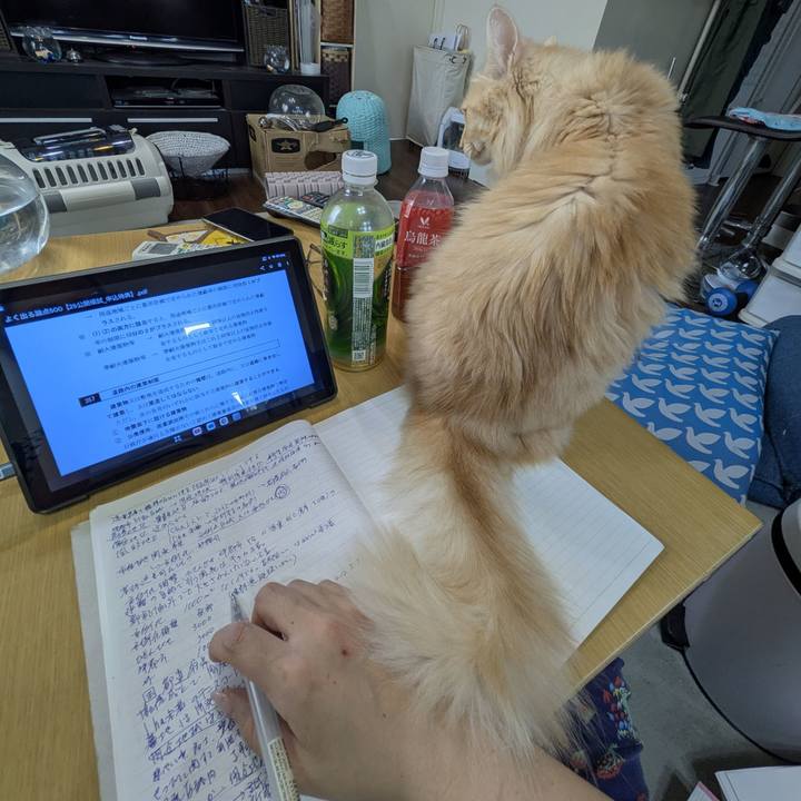 A2245435 7fc2 494a 883e 6c085c4a1d2e 1757327500387