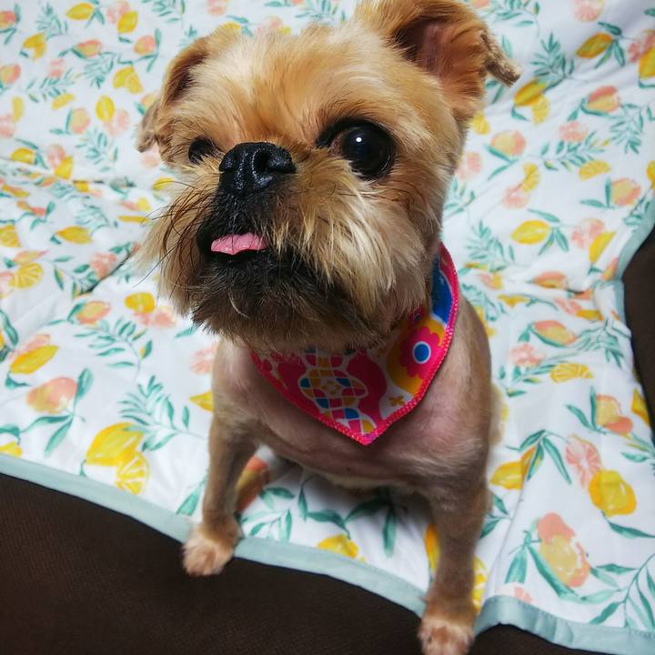 A224848b 0679 48c9 b6af 5954886dfc59 1592644744725