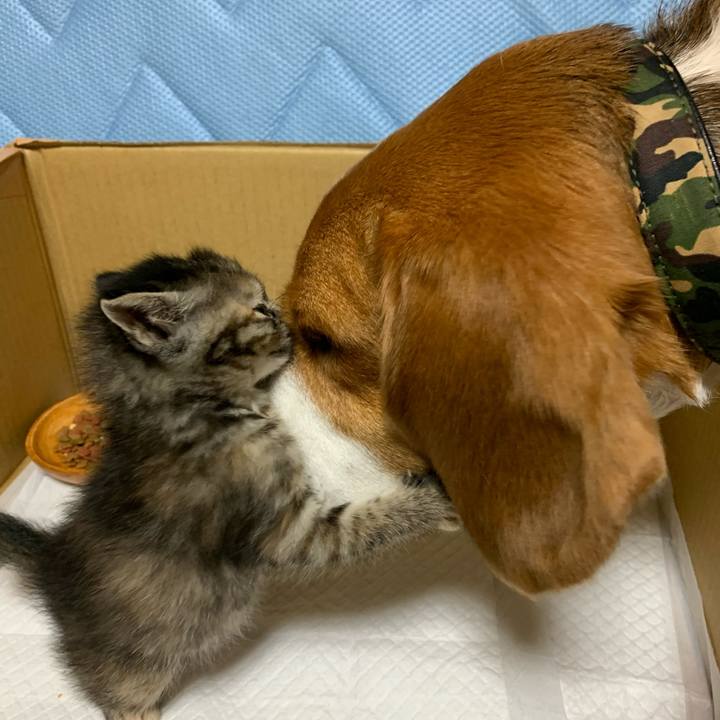 A2248523 3239 4740 99e6 528c0f6c3c08 1588516076767