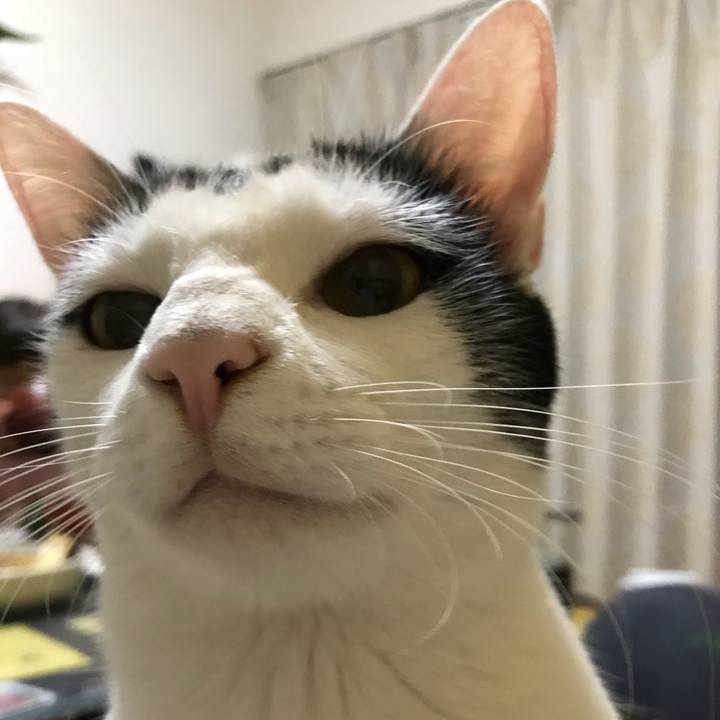 A224ba19 c859 422f b5b3 e201d180ef85 1508844036243