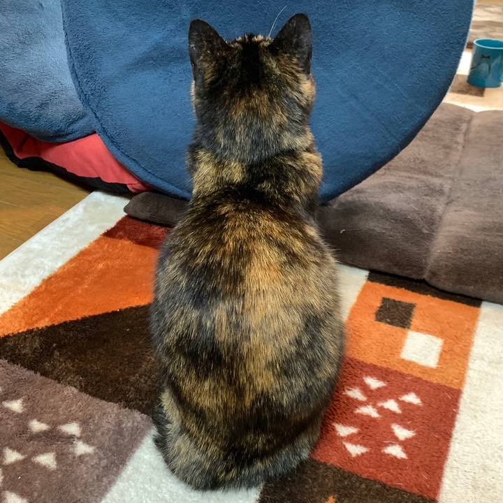 A224c57a ebd4 463a ad24 5334c239928f 1588489263281