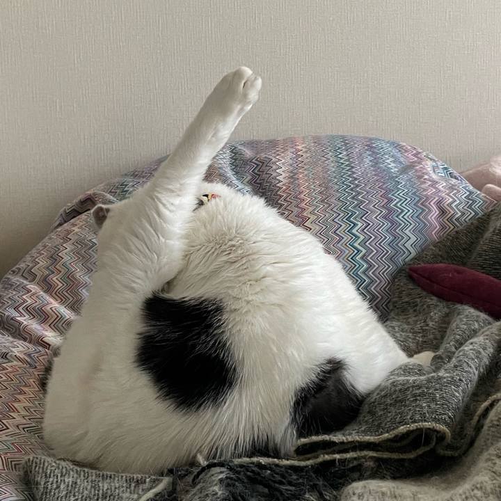 A224d98f beab 41ac b613 3988dd556848 1651651604656