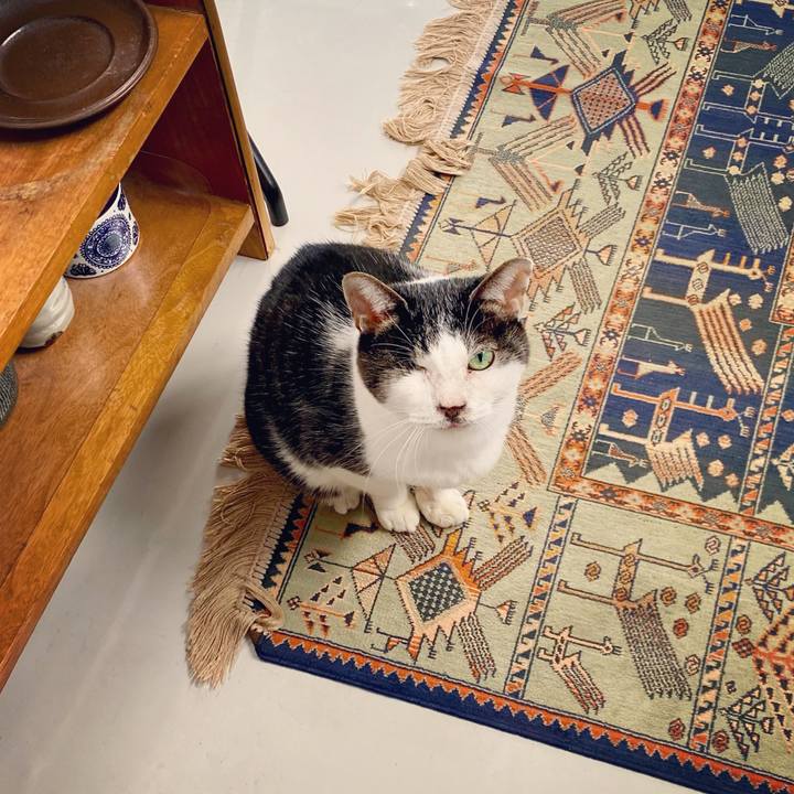 A2251c1a 4ba7 451d 91d3 fe9b86b4483a 1605142026361