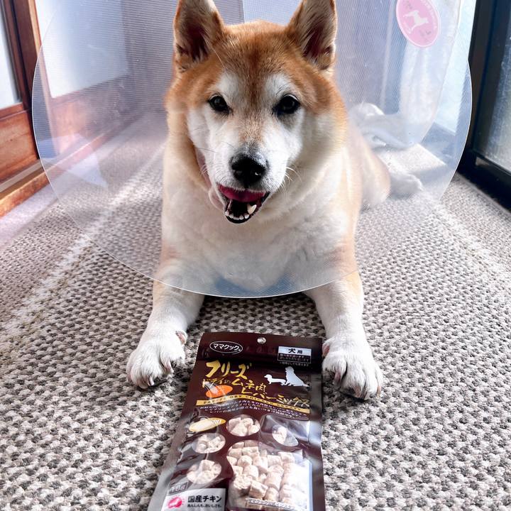 A2255df1 230e 40e4 989c c80b3851d23a 1705664523268