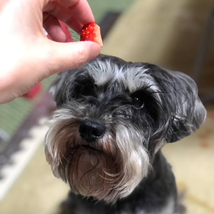 A225741c afdb 4493 a39e 8a68c530c494 1554387170629