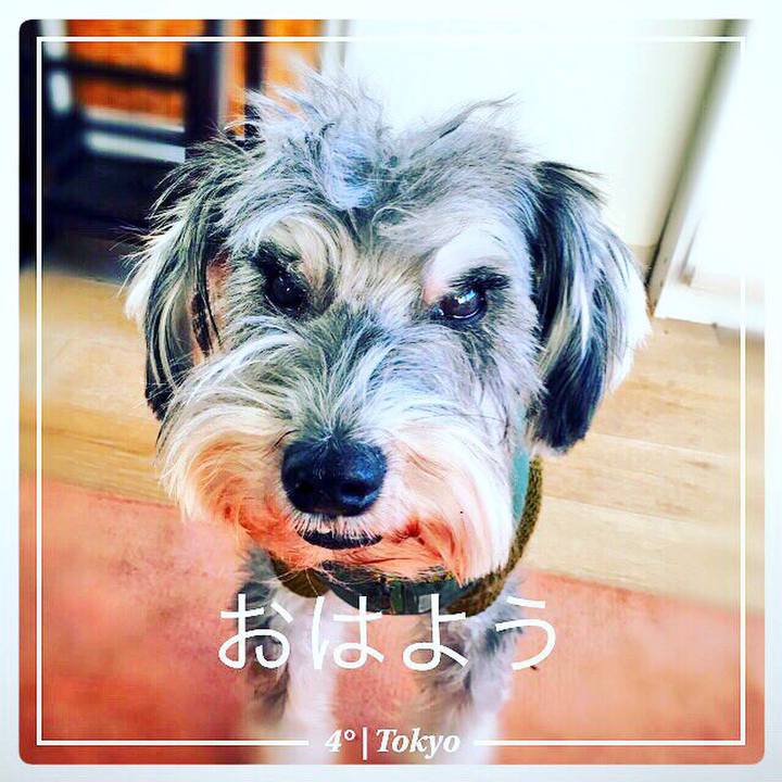 A2258839 85c5 4afb ad5e 46ddd4b1dcd8 1515539329146