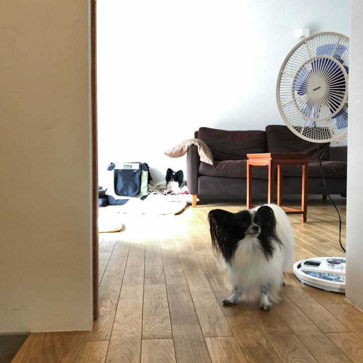 A225a120 704f 4115 86ab c9563680c36f 1539660583196