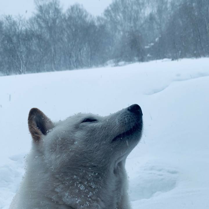 A225a3fc b377 466f 83cb 909fe16e059b 1642152336207