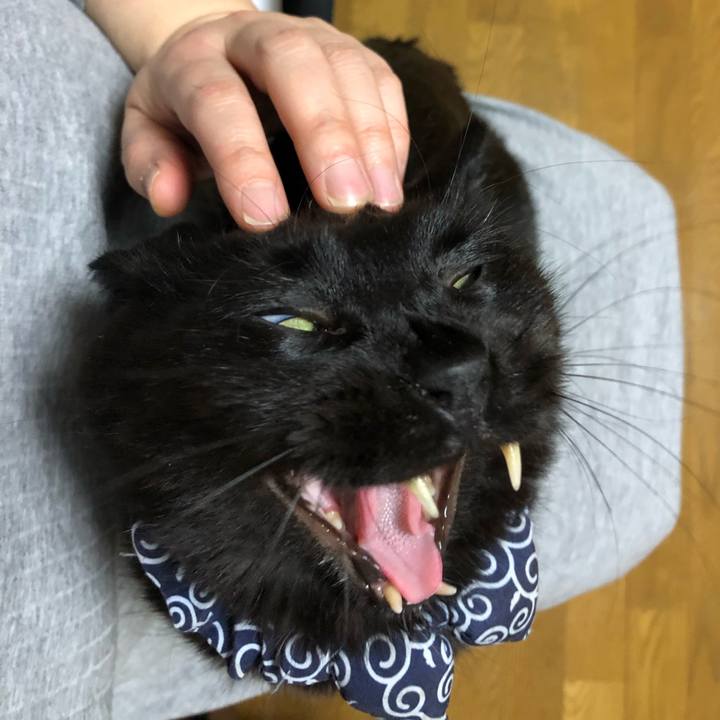 A225a9b1 2b32 400d b147 31d58769a419 1581414333807