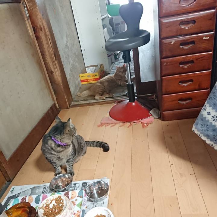 A225cf47 96e5 408b a3eb 6e6ebb5907c0 1652326233860