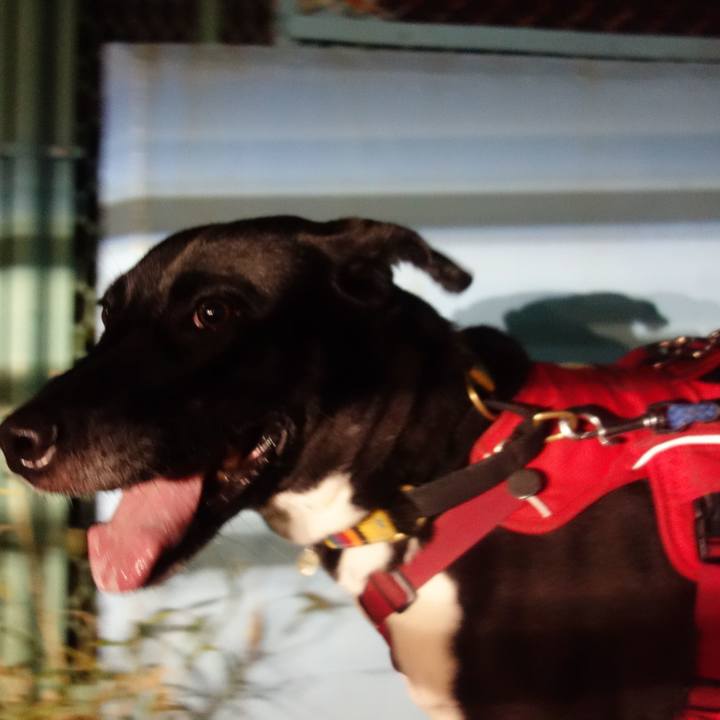 A225f015 defa 46d8 b370 56506e0fc76f 1600857901661