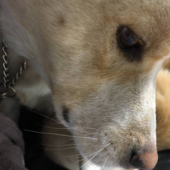 A225fd47 f6b8 4060 8bf6 4ef9f51b880d 1515753707198