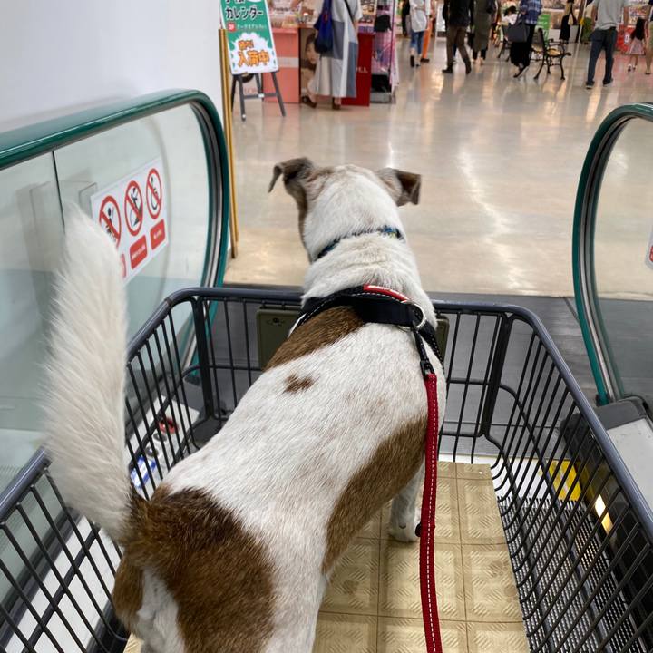 A2262a0b 850c 40f1 a978 4b5cfe912e87 1601202295796