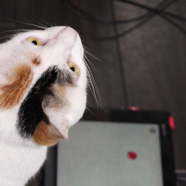 A226367f 1a34 4a29 9a35 4c4083a3f71e 1604317583217