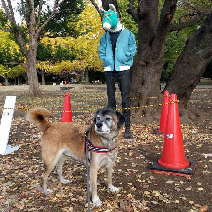 A22644ad 0a8d 4a57 9bdb 9cc5e56fa0d5 1510532558228