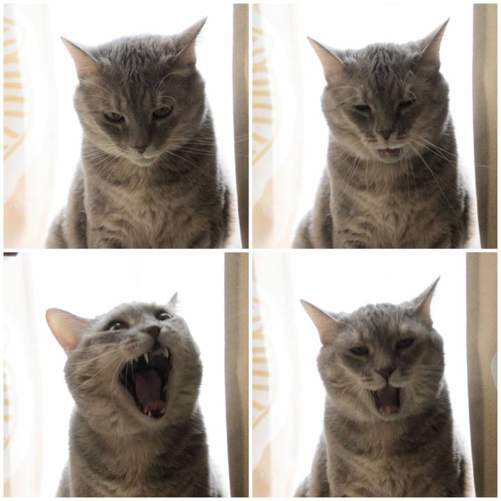 A2264ff5 ccc8 44df 83b0 ab941ca101f4 1658042596980