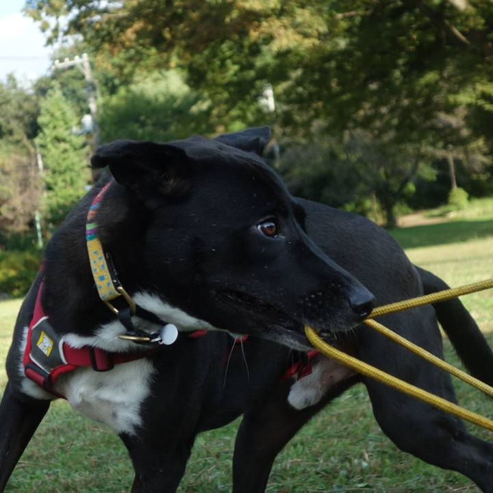 A226630d 365a 452e 9e12 259490ce24cf 1602548535095