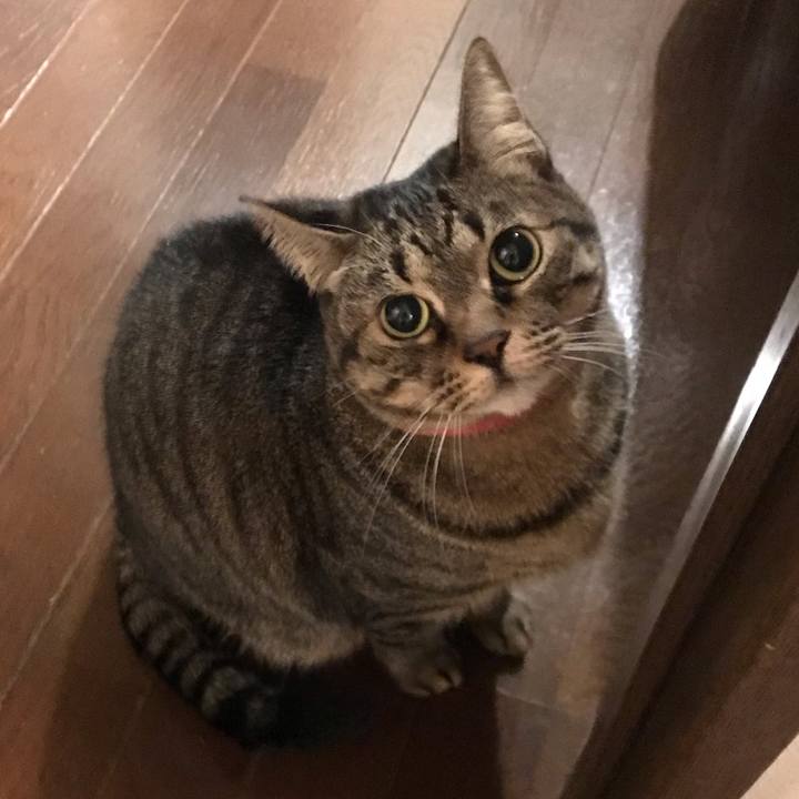 A2266f82 342f 4edd 8719 620cee751752 1550496043744