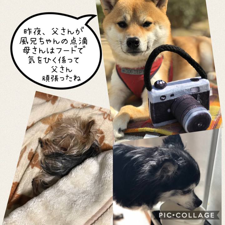 A22672d8 8fd0 4d38 8b04 db5d4c0092ee 1548735067302
