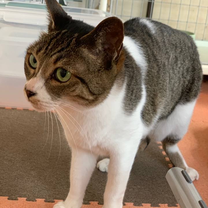 A22683a5 d880 4ff0 911a d1c829119f80 1558313510182