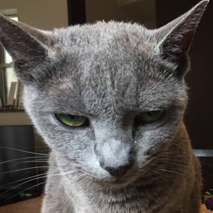 A22688ef d6c8 40b9 b427 2f5beafe6cdf 1568330890093