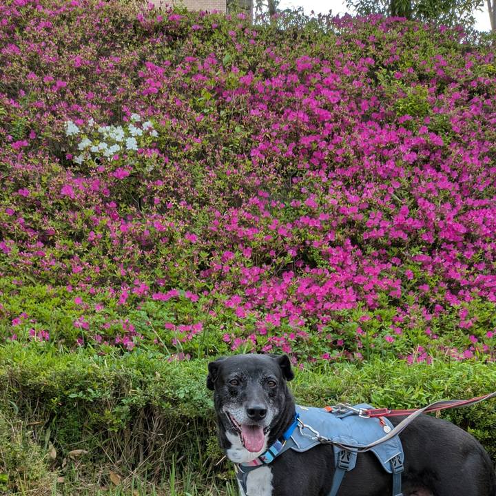 A226cc9e d38a 4b81 85d5 13111910519d 1745626380535