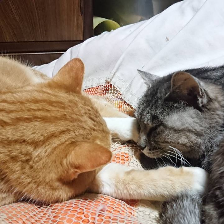 A226e933 4add 4dd6 a3b7 bb9b23331ce2 1575119960804