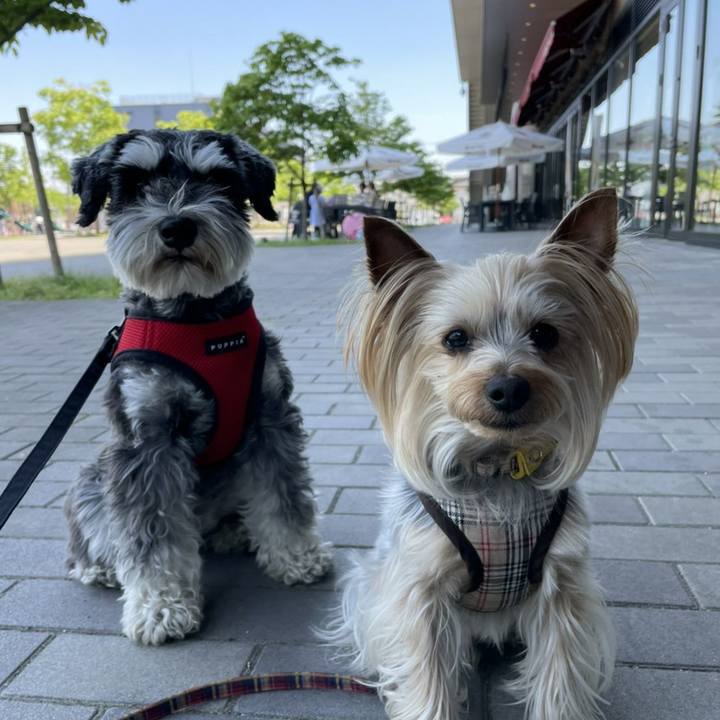 A2270ad4 4d4d 43c5 9842 6c21d5910a4a 1651651121687