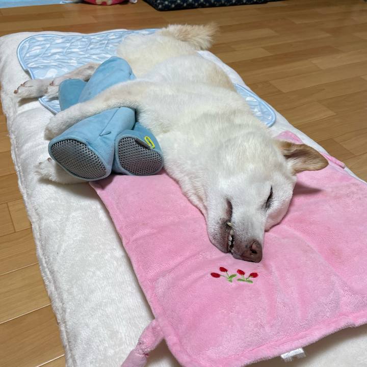 A2270ce6 129e 4a2e a506 436431d20a75 1661933554454