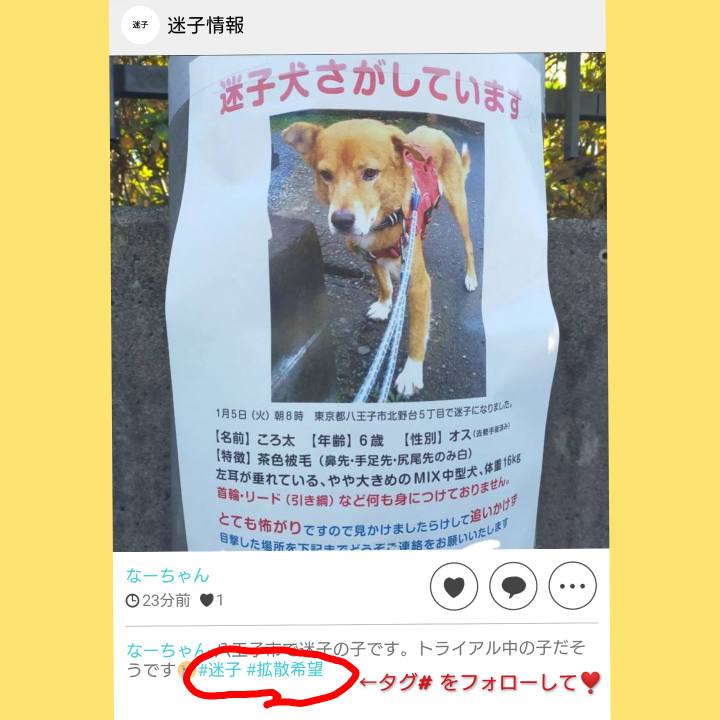 A2273555 6768 44da b4d0 2b429458c28f 1610159120260