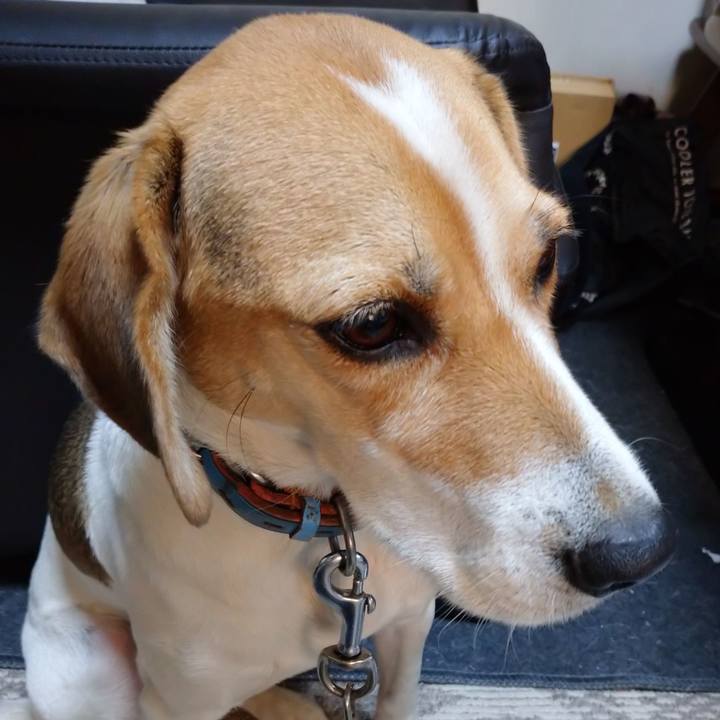 A2275066 deb1 4236 aea1 92002cd26de3 1607951618882