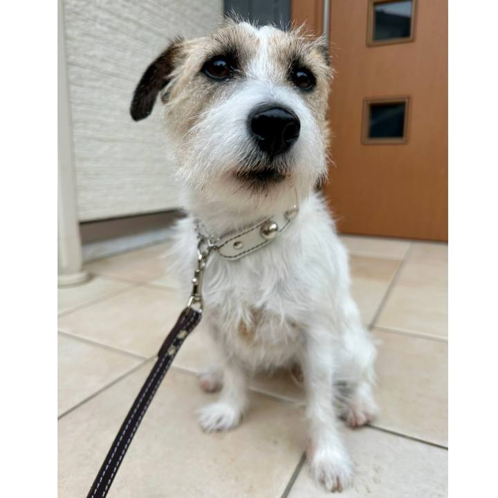 A22751c2 4c6a 40ac bdd9 9f31fe1a571f 1736654315127