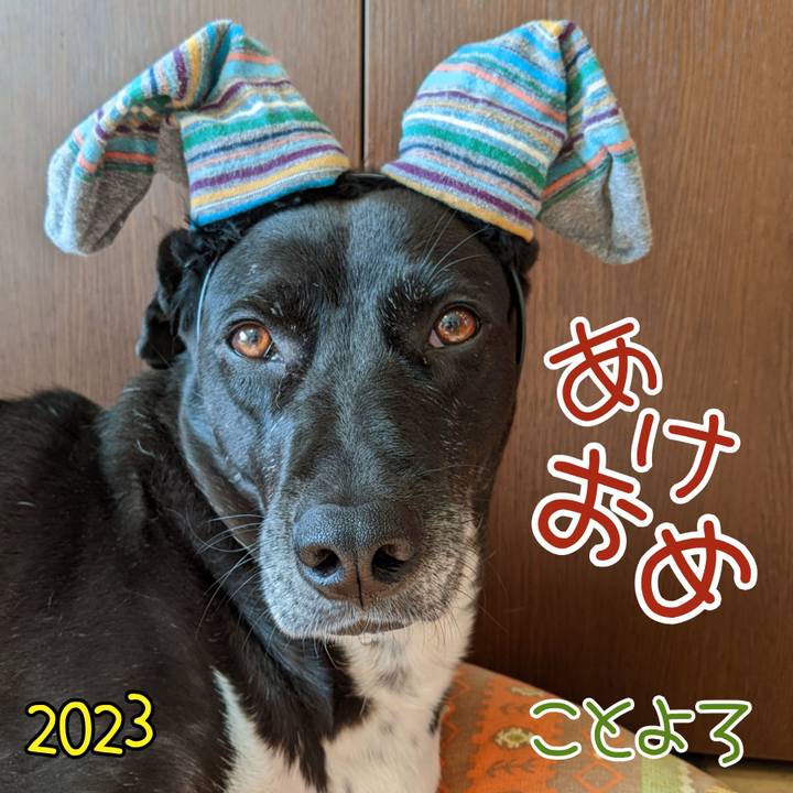 A22781f6 e410 45be a3ca 6d38b6fe9996 1672533828942