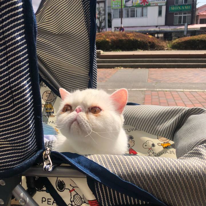 A22789e1 61d3 4f99 925d 6e278f0f24f5 1616853108940