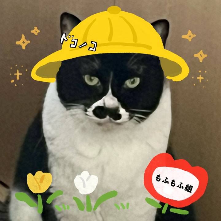 A2279ecb c9f1 4c4f a123 0b42abd0858c 1712231647395