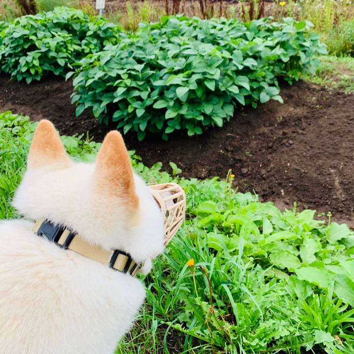 A227a788 b119 40cb 9f2c 1b33b6c1008d 1565472274968