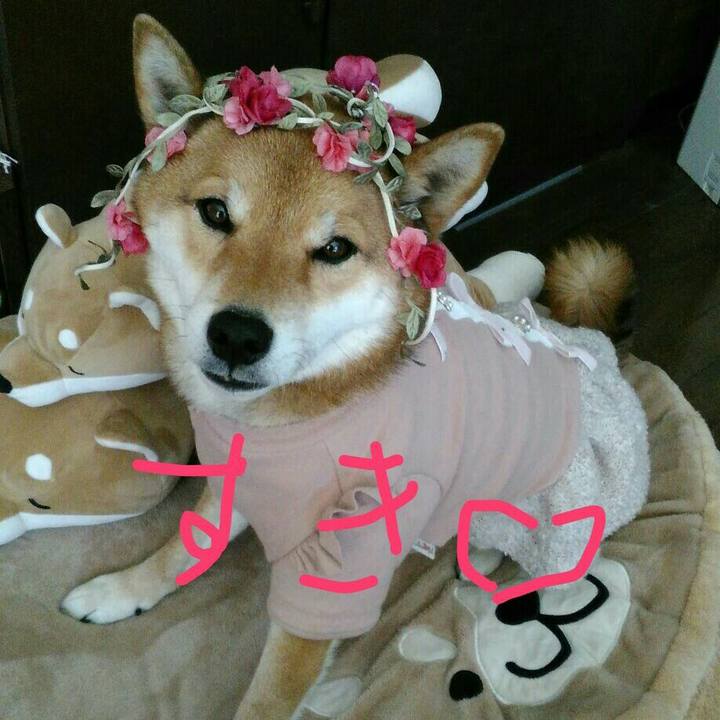 A227d163 657c 44de 850f f4af43aa0c6a 1518568192189