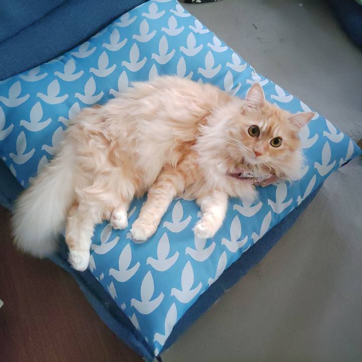 A22801e5 5b22 4dc9 aff1 a1e75e45290f 1719384829601