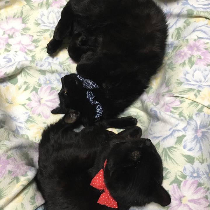 A22834ff 377c 414d 8d34 c0d20816d785 1549975394385