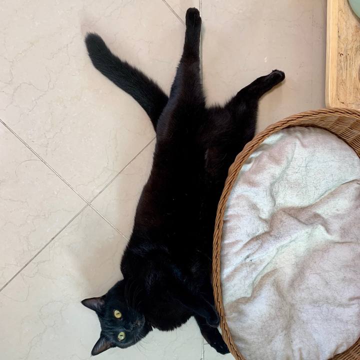 A2284905 a83d 4fb2 844c 159b7e766697 1568361300567