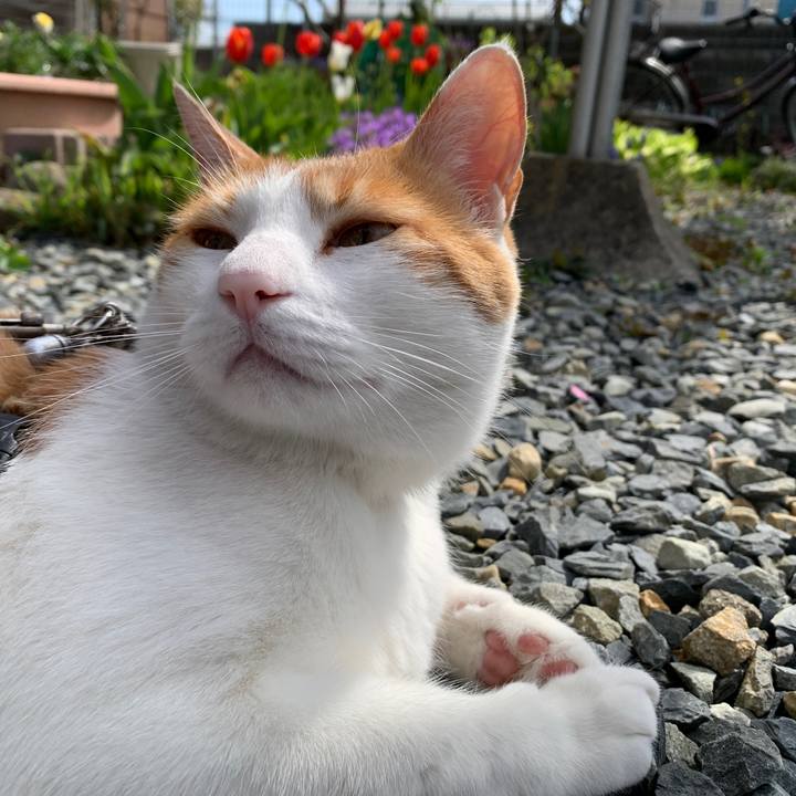 A2284ed1 b7af 4aec 9945 c6557df7330c 1618703772657