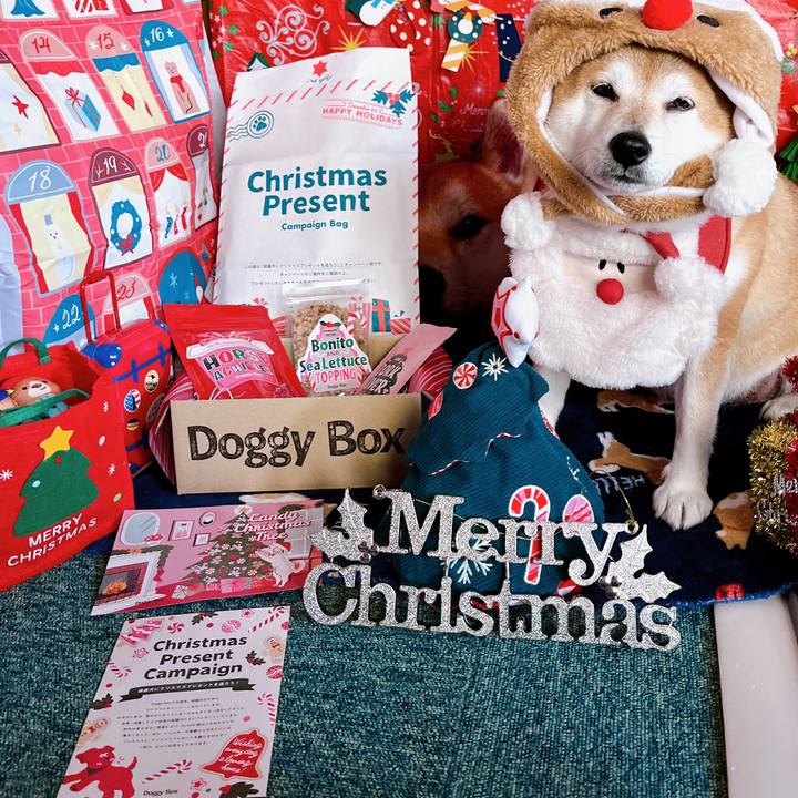 A2286584 9027 497a 8f8f b77e6f3aeead 1670903663141