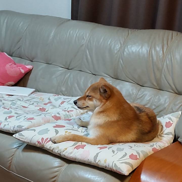 A2286c2d 355c 4bcd 8b7c 0528e27a13a1 1661940281513