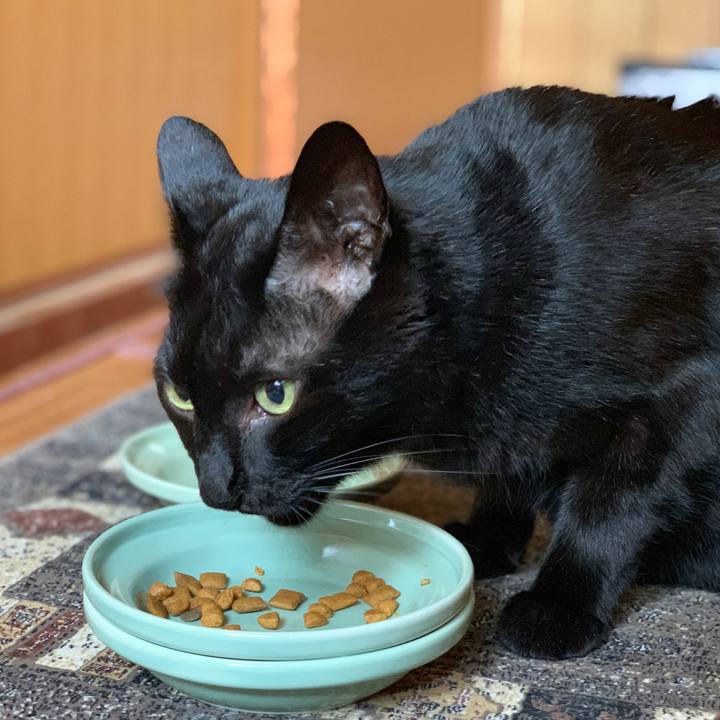 A228767a df4a 4e70 8fc3 579792844b94 1566004080254