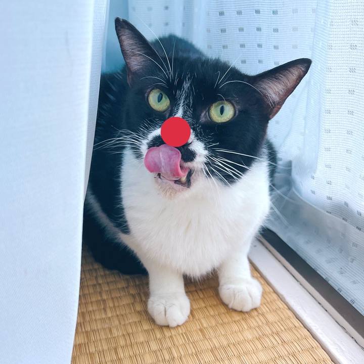 A22877bf 5e76 4d14 b645 60ddc247929d 1691575952753