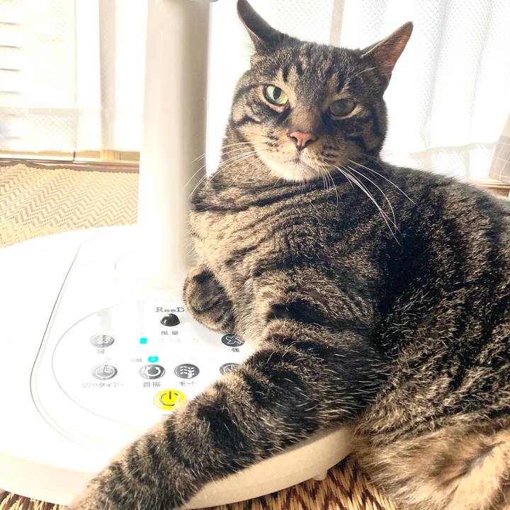 A2287b57 5f30 40dd 9272 6597737e3478 1656028758874