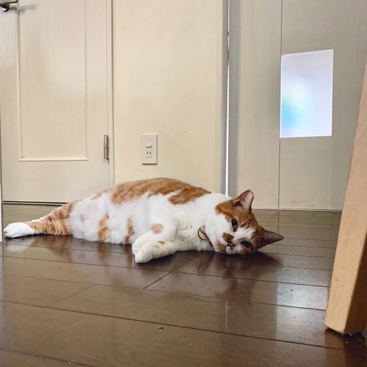 A228ed9f 3987 4a63 93d4 a77e058eaef6 1692114144810