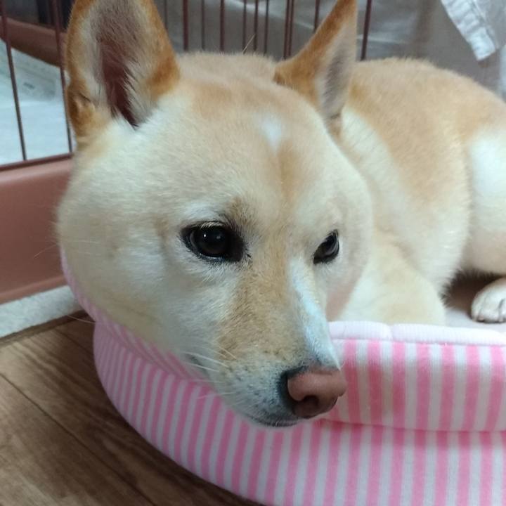 A2291354 15f2 4731 a8e3 eee86da1bc64 1593815945789