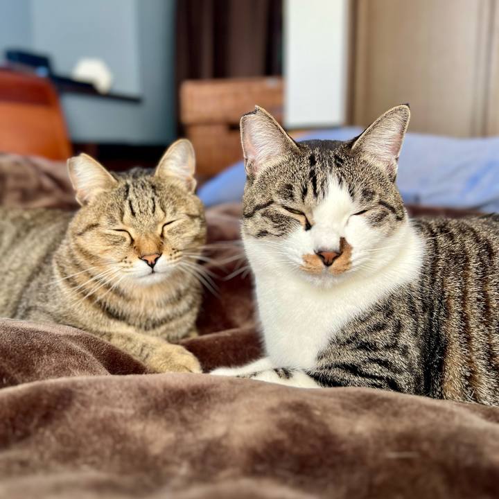 A2295290 8941 4a77 9820 7e66f09c424d 1764851300478